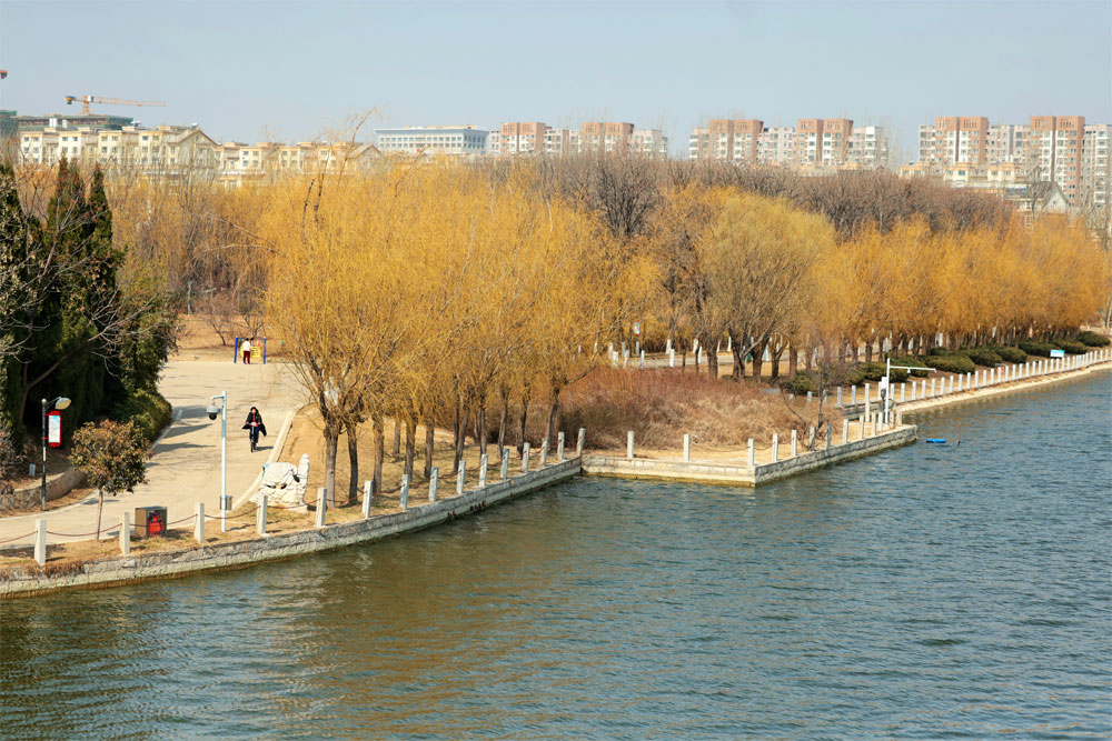 春日濕地-秀美如畫(huà)3.jpg